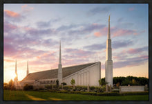Load image into Gallery viewer, Boise Springtime
