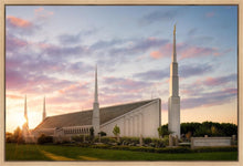 Load image into Gallery viewer, Boise Springtime
