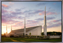 Load image into Gallery viewer, Boise Springtime
