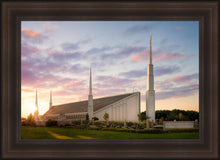 Load image into Gallery viewer, Boise Springtime
