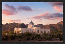 Load image into Gallery viewer, Tucson That the Lost May be Found
