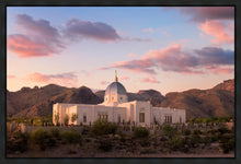 Load image into Gallery viewer, Tucson That the Lost May be Found
