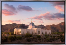Load image into Gallery viewer, Tucson That the Lost May be Found
