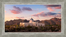 Load image into Gallery viewer, Tucson That the Lost May be Found
