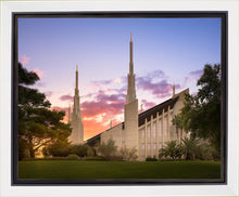 Load image into Gallery viewer, Las Vegas Desert Rose
