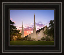 Load image into Gallery viewer, Las Vegas Desert Rose
