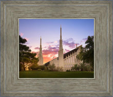 Load image into Gallery viewer, Las Vegas Desert Rose
