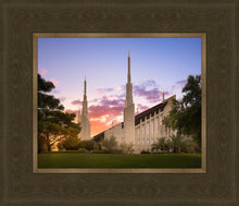 Load image into Gallery viewer, Las Vegas Desert Rose
