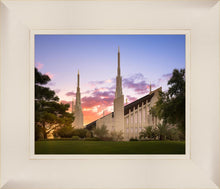 Load image into Gallery viewer, Las Vegas Desert Rose
