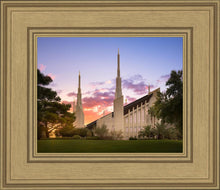 Load image into Gallery viewer, Las Vegas Desert Rose
