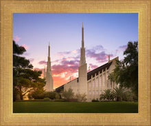 Load image into Gallery viewer, Las Vegas Desert Rose

