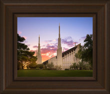 Load image into Gallery viewer, Las Vegas Desert Rose
