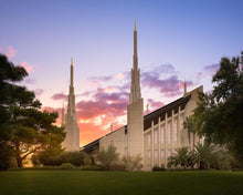 Load image into Gallery viewer, Las Vegas Desert Rose

