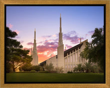 Load image into Gallery viewer, Las Vegas Desert Rose
