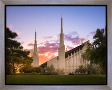 Load image into Gallery viewer, Las Vegas Desert Rose
