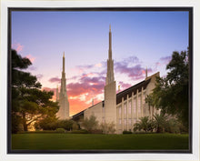 Load image into Gallery viewer, Las Vegas Desert Rose
