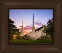 Load image into Gallery viewer, Las Vegas Desert Rose

