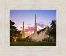 Load image into Gallery viewer, Las Vegas Desert Rose
