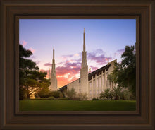 Load image into Gallery viewer, Las Vegas Desert Rose
