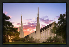 Load image into Gallery viewer, Las Vegas Desert Rose
