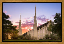 Load image into Gallery viewer, Las Vegas Desert Rose
