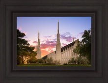 Load image into Gallery viewer, Las Vegas Desert Rose
