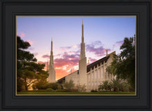 Load image into Gallery viewer, Las Vegas Desert Rose
