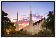 Load image into Gallery viewer, Las Vegas Desert Rose
