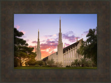 Load image into Gallery viewer, Las Vegas Desert Rose

