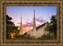 Load image into Gallery viewer, Las Vegas Desert Rose
