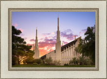 Load image into Gallery viewer, Las Vegas Desert Rose
