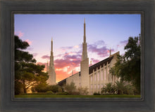 Load image into Gallery viewer, Las Vegas Desert Rose
