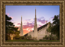 Load image into Gallery viewer, Las Vegas Desert Rose

