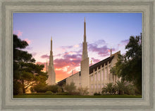 Load image into Gallery viewer, Las Vegas Desert Rose
