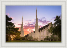 Load image into Gallery viewer, Las Vegas Desert Rose
