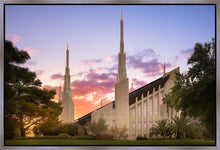 Load image into Gallery viewer, Las Vegas Desert Rose
