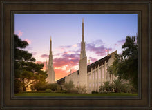 Load image into Gallery viewer, Las Vegas Desert Rose
