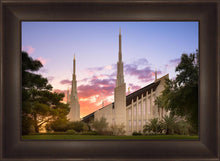 Load image into Gallery viewer, Las Vegas Desert Rose
