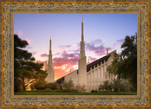 Load image into Gallery viewer, Las Vegas Desert Rose
