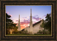 Load image into Gallery viewer, Las Vegas Desert Rose
