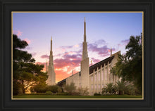 Load image into Gallery viewer, Las Vegas Desert Rose

