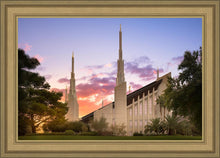 Load image into Gallery viewer, Las Vegas Desert Rose
