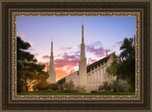 Load image into Gallery viewer, Las Vegas Desert Rose
