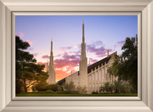 Load image into Gallery viewer, Las Vegas Desert Rose
