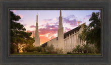 Load image into Gallery viewer, Las Vegas Desert Rose
