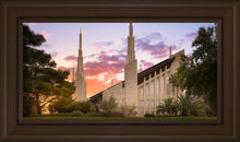 Load image into Gallery viewer, Las Vegas Desert Rose
