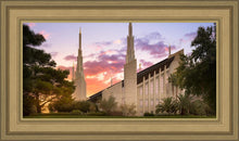 Load image into Gallery viewer, Las Vegas Desert Rose
