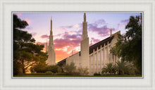 Load image into Gallery viewer, Las Vegas Desert Rose
