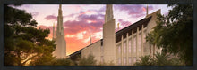 Load image into Gallery viewer, Las Vegas Desert Rose
