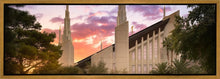 Load image into Gallery viewer, Las Vegas Desert Rose
